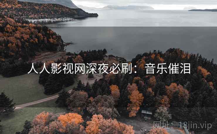 人人影视网深夜必刷：音乐催泪