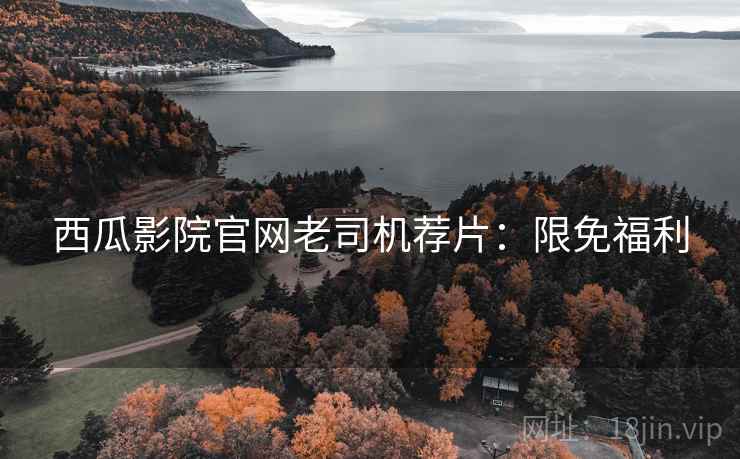 西瓜影院官网老司机荐片：限免福利