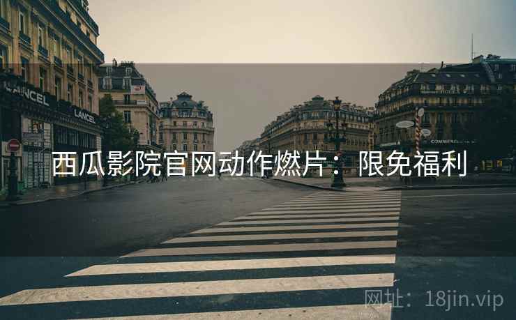 西瓜影院官网动作燃片：限免福利