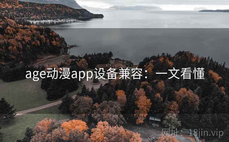 age动漫app设备兼容：一文看懂